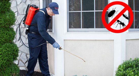 Yenimahalle Karınca İlaçlama böcek ilaçlama ve haşere kontrolü — ilaclama-tr.com